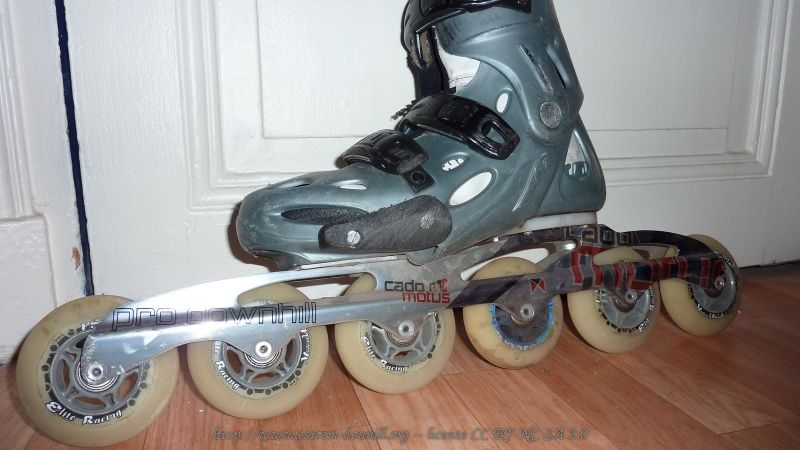 cadomotus_pro_downhill_6x84_montage_macro_1.jpg